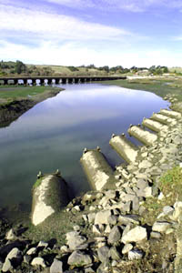 Elkhorn Slough