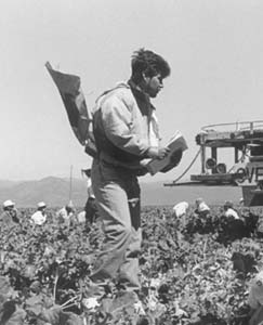 farm workers