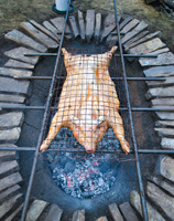 Pig roast