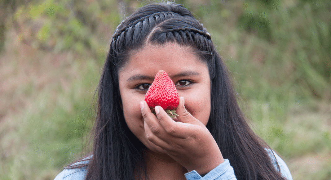 A young girl holds a strawberry