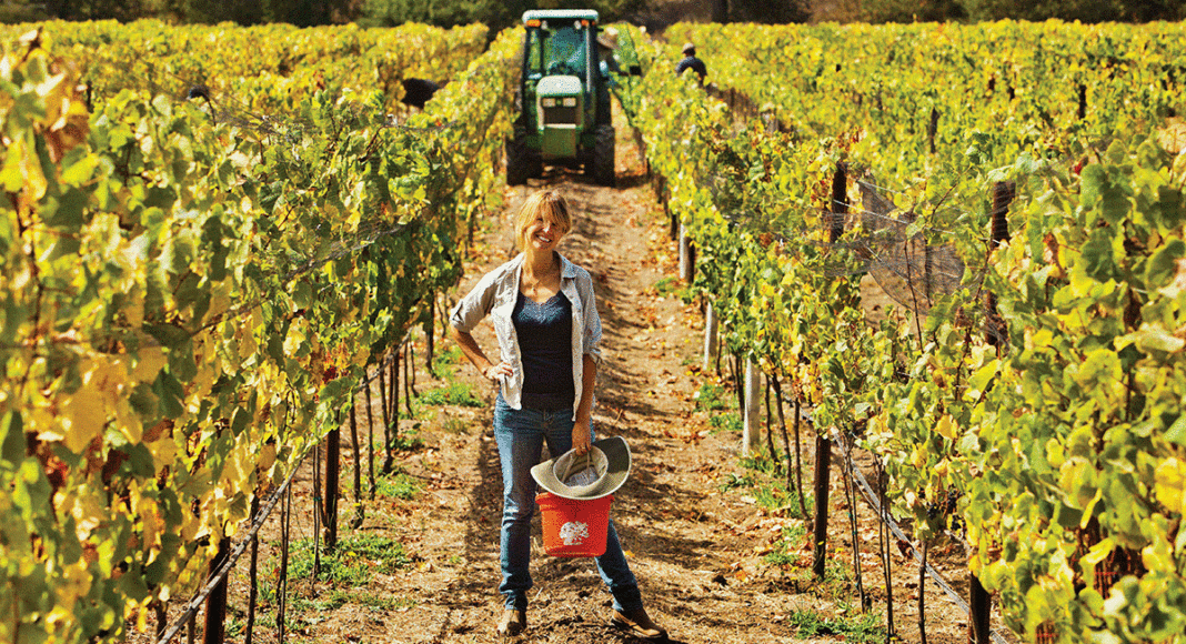 Pamela Storrs in the vineyard