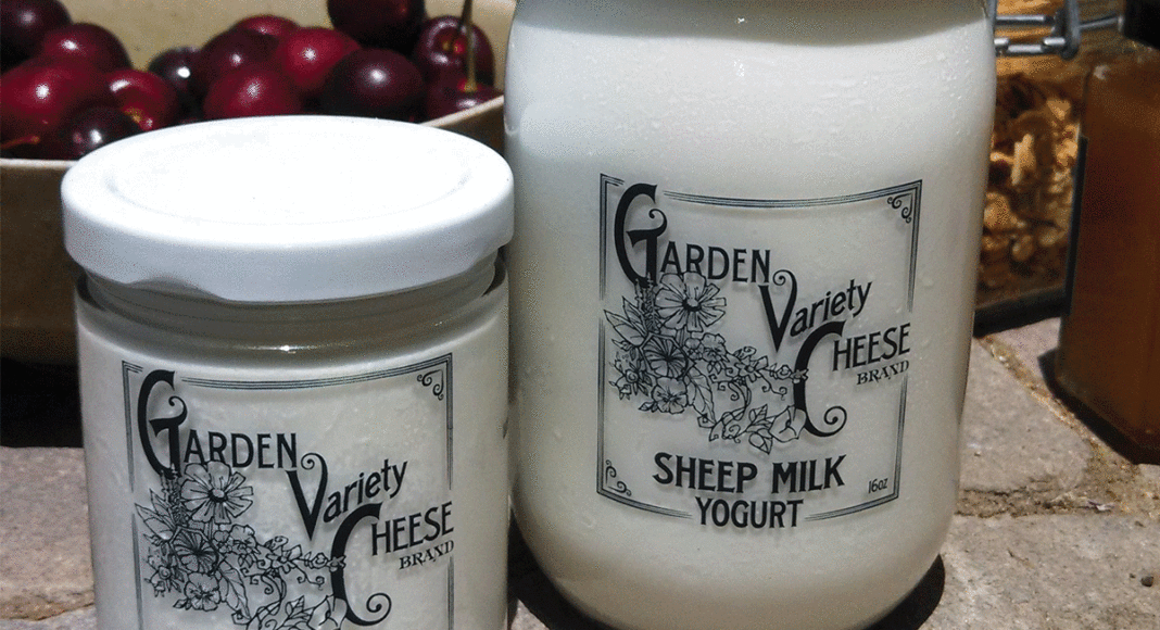 Garden Variety Cheese sheep's milk yogurt