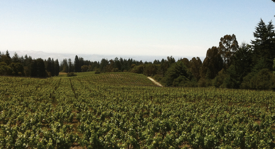 Bald Mountain Chardonnay