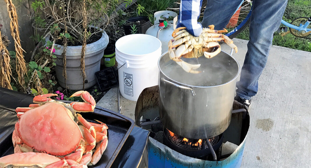 Dungeness crab season crab boil