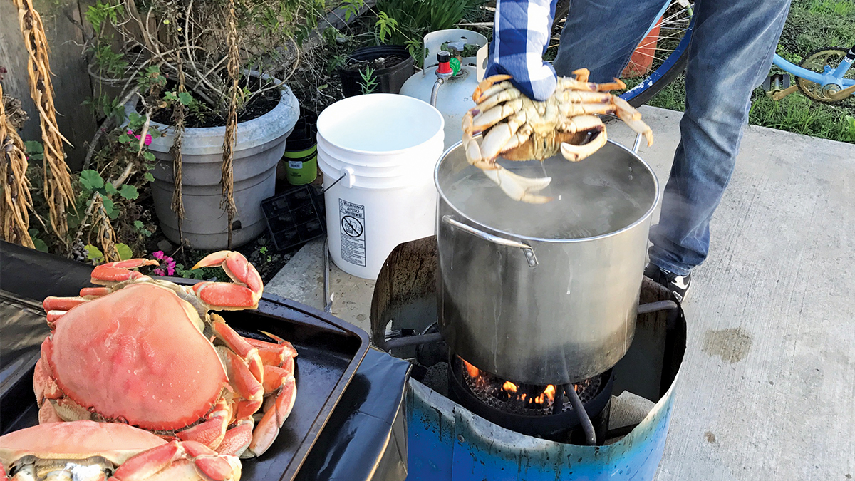 Finally, Dungeness Crab Season is Open | Good Times