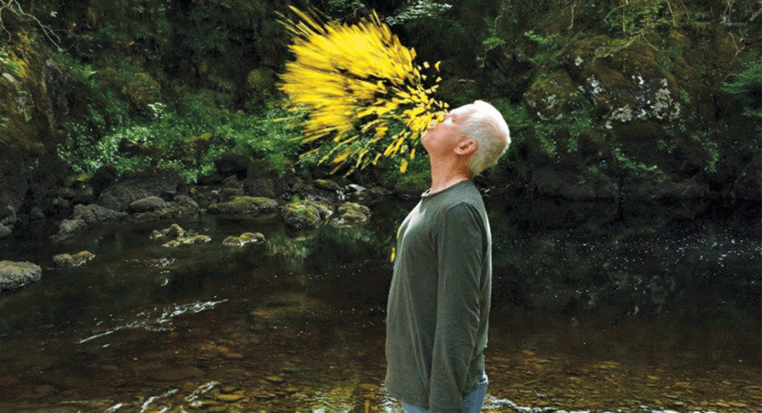 LEANING INTO THE WIND: ANDY GOLDSWORTHY