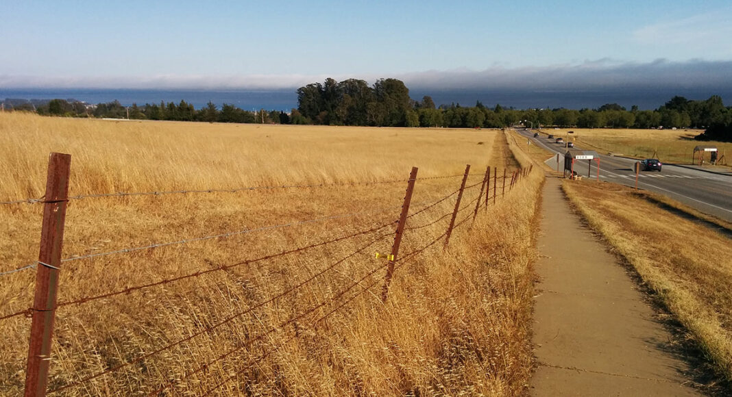 UCSC family student housing UCSC East Meadow future site of family student housing