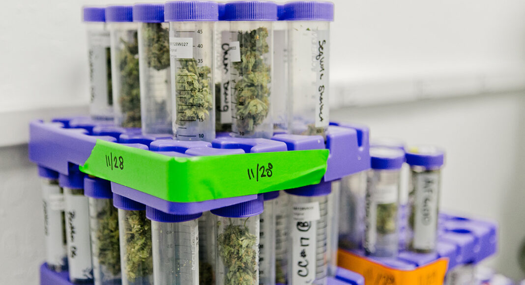 cannabis rules weed in test tubes at SC Labs