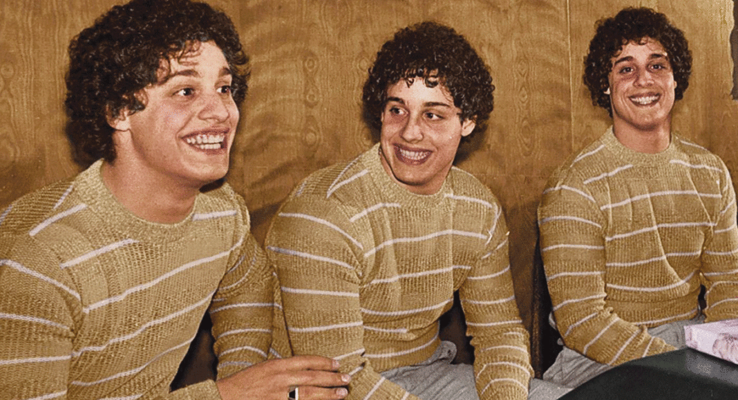 Three Identical Strangers