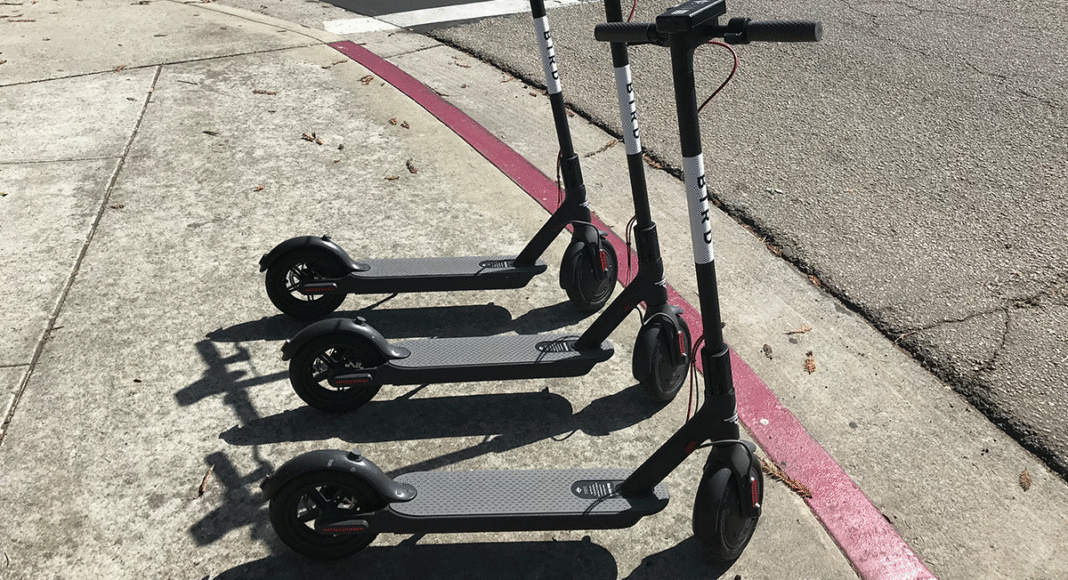 Bird scooters
