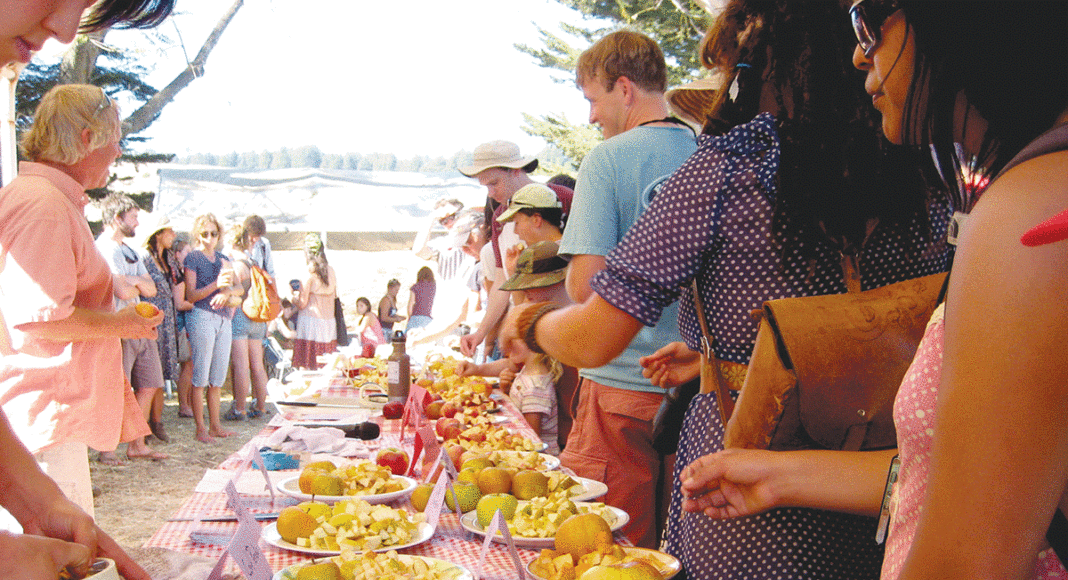 Fall Harvest Festival