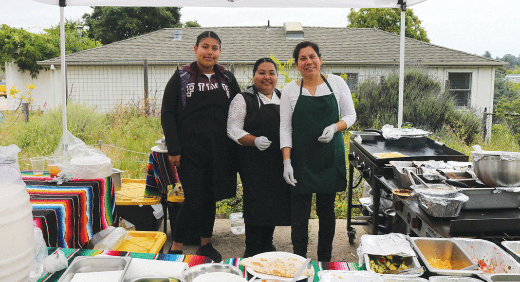 PopUp Picnics