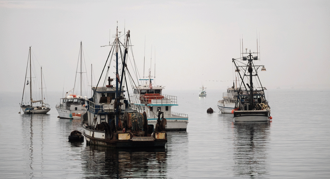 fishery reform