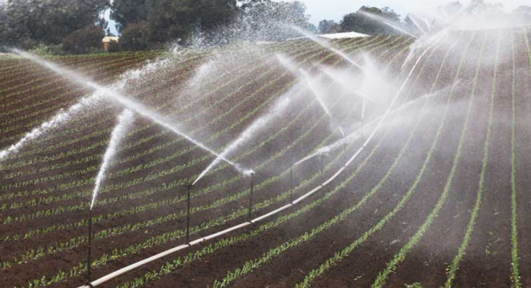 irrigation