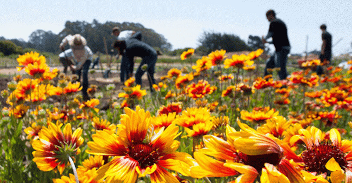 Santa Cruz Gives Kicks Off Its Biggest Campaign Ever Good Times