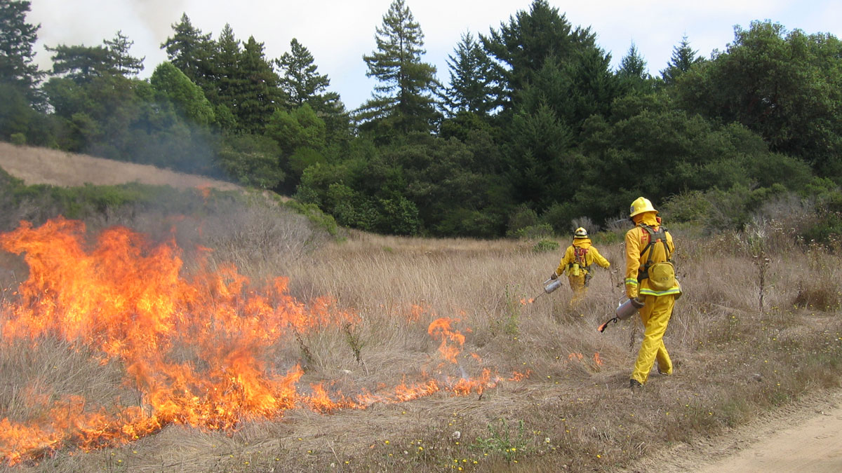 Prescribed Burns: A Behind-the-Scenes Look into the Arduous Process