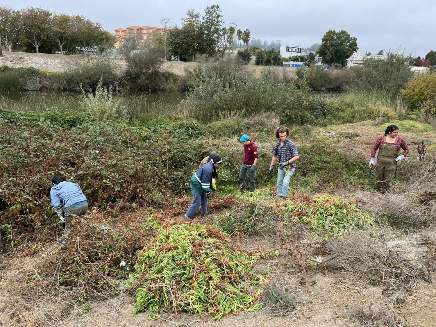 Environmental Groups in Santa Cruz Gives Connect Communities with