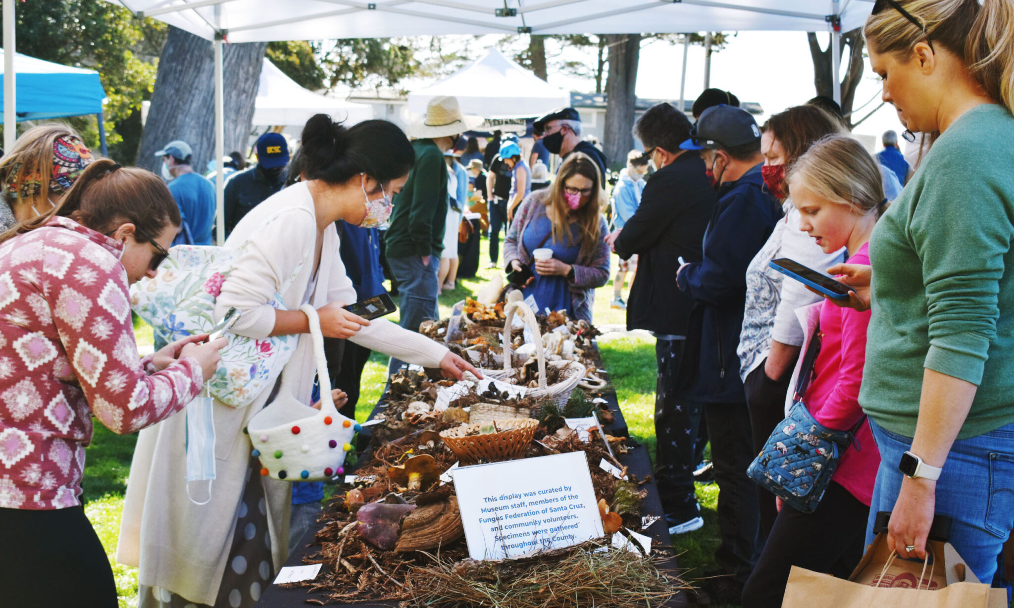 Mini Fungus Fair Returns to Santa Cruz Good Times