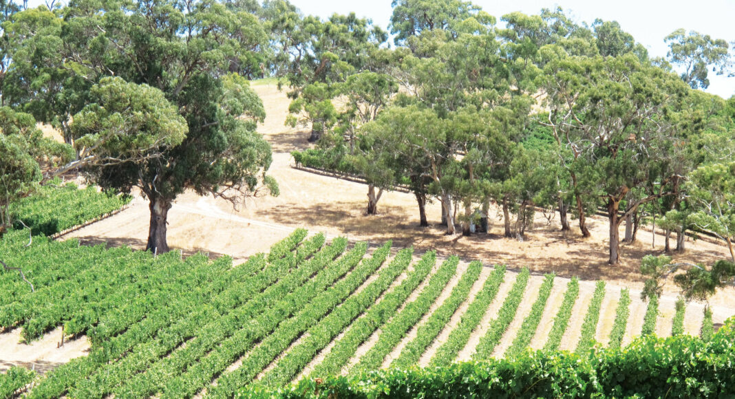 Bernardus Winery Carmel Valley