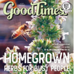 Image for display with article titled Growing for Your Health Right at Home