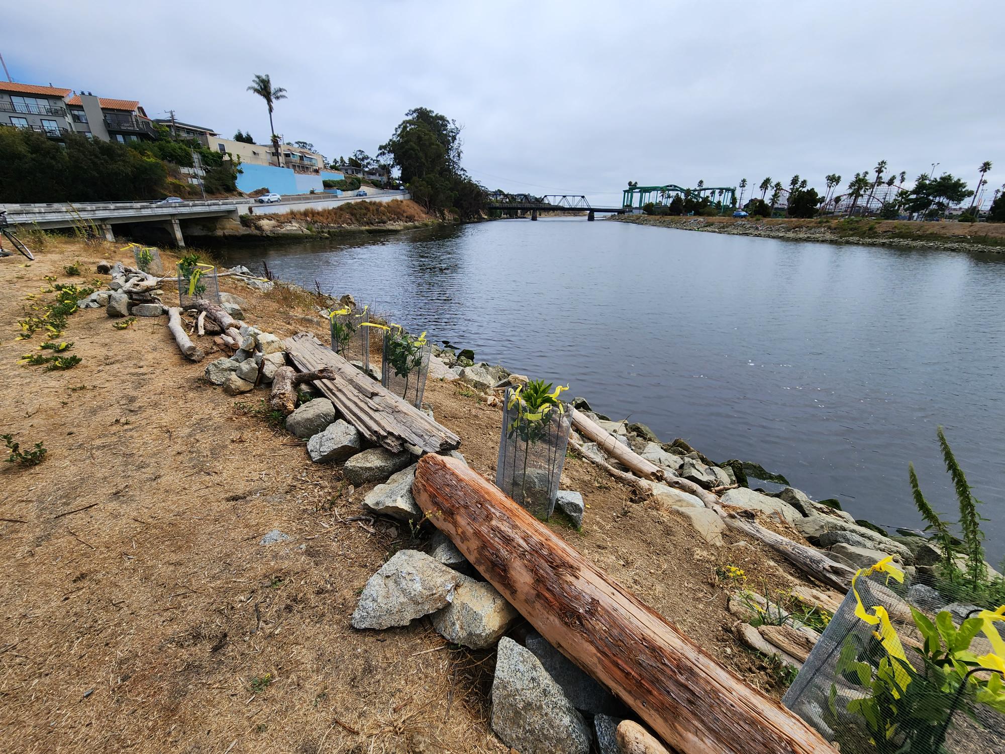 City Reports Vandalism To San Lorenzo River Levee Good Times