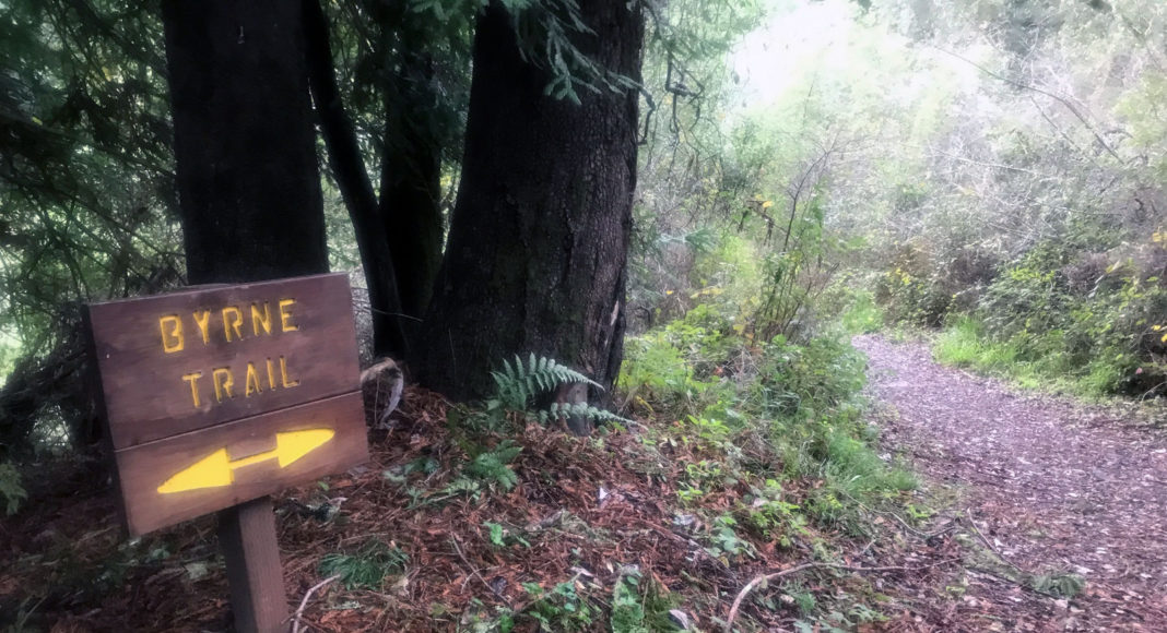 Trail sign in the forest