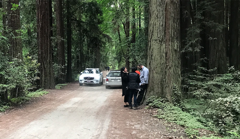 People standing on a narrow forest road near parked cars