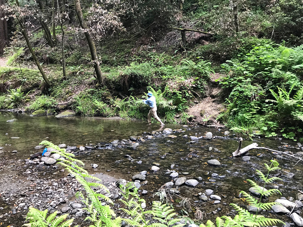 Man throwing stones in a forest creek