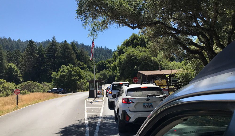 Cars waiting to get into a park