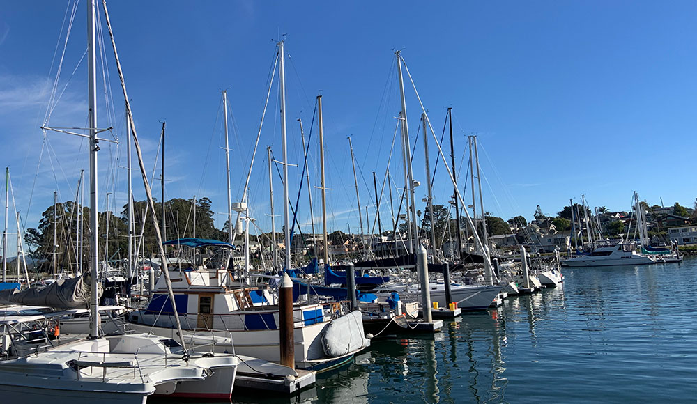 Boats in the Santa Cruz Harbor